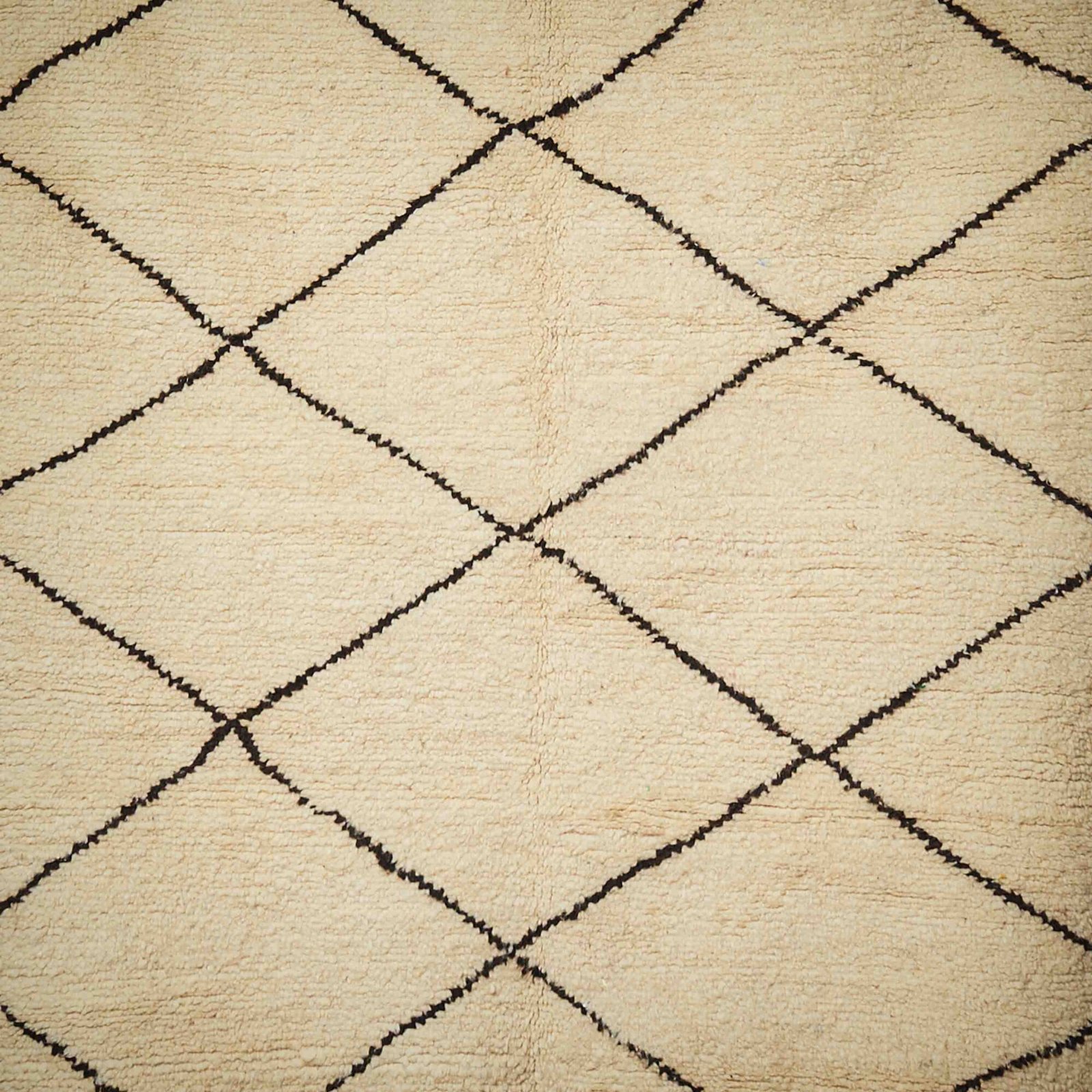 Oum_shooting fotografico 14.11.20249853 Oum_shooting fotografico 14.11.20249853