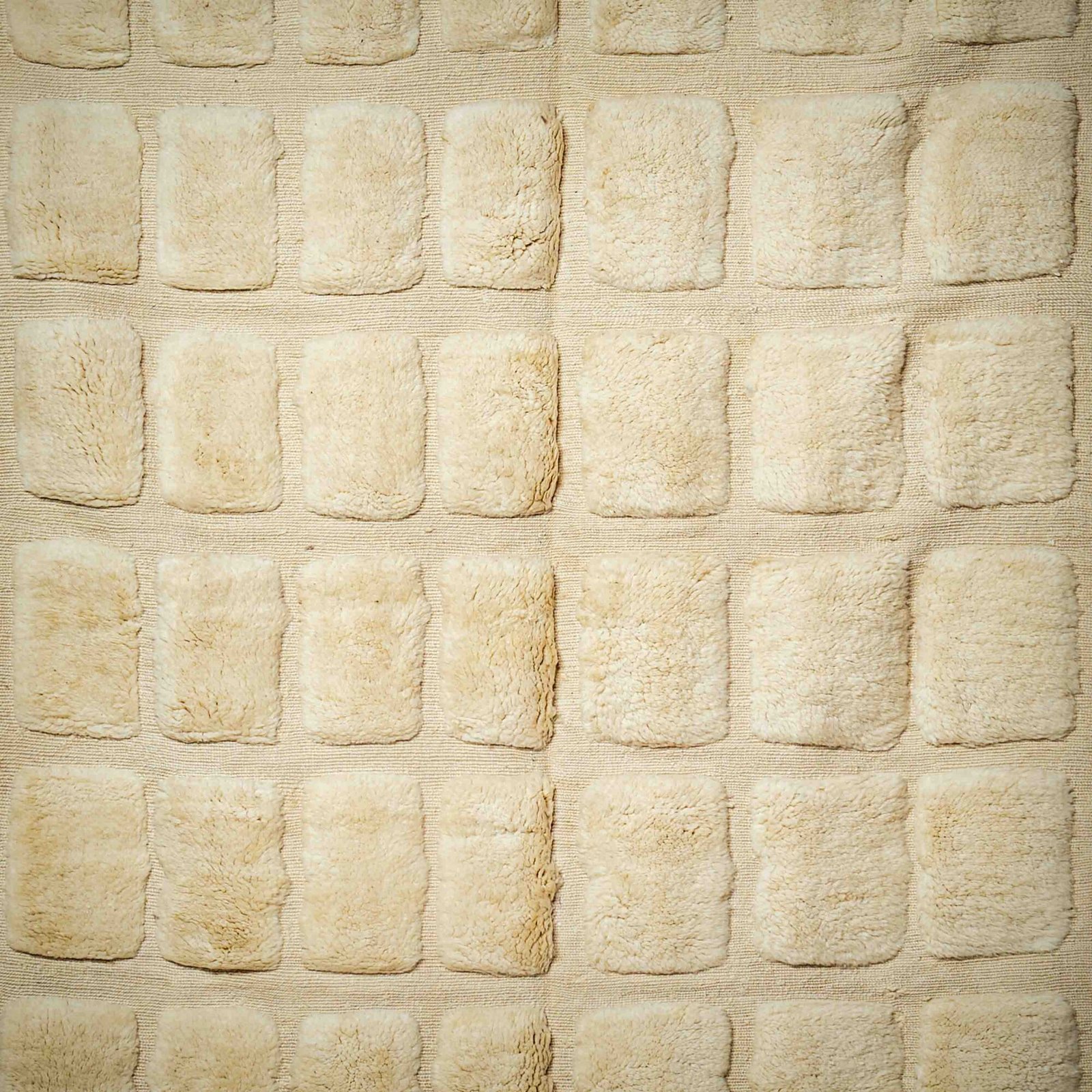 Oum_shooting fotografico 14.11.20249947 Oum_shooting fotografico 14.11.20249947